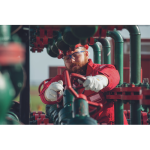 PALLIDA gloves-blister - 10