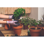 PINTAIL gloves dipped in brown/green 9