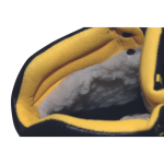 BK TPU MF S3 CI SRC ankle 48 black