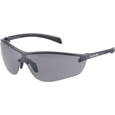 SILIUM+ spect. PC visor, AS AF