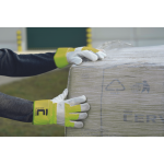CURLEW Winter Hivis HV